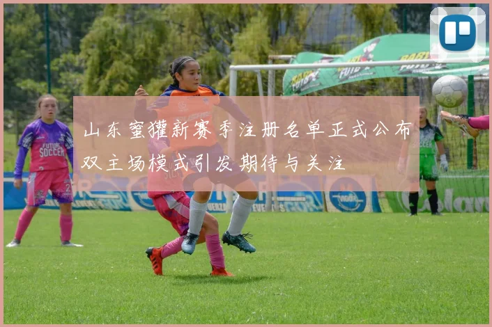 山东蜜獾新赛季注册名单正式公布双主场模式引发期待与关注