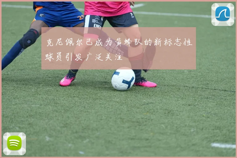 克尼佩尔已成为黄蜂队的新标志性球员引发广泛关注