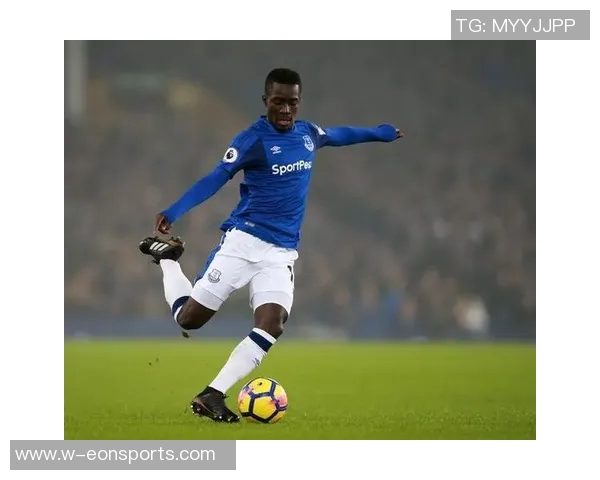 多家俱乐部关注詹姆斯加纳埃弗顿力争续约球员